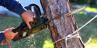 Best Soil Testing and Treatment  in University Park, MD